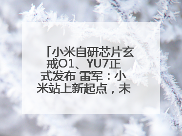 小米自研芯片玄戒O1、YU7正式发布 雷军：小米站上新起点，未来五年研发翻倍再投2000亿元